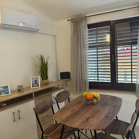 Sea Shell Apartment